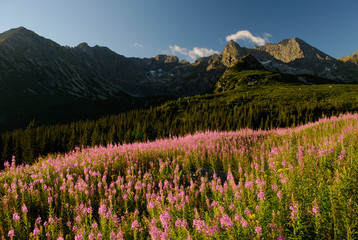 Landscape of Tatra Mountains, Poland