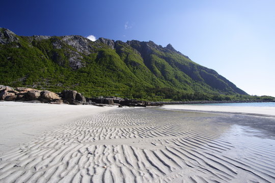 Bassa marea