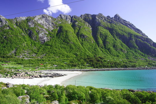Rorvik