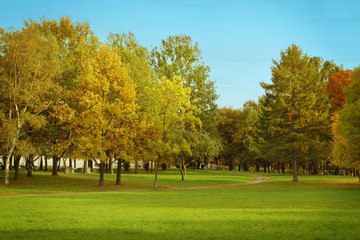 Obraz premium Landscape