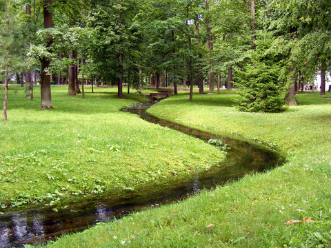 Creek in park