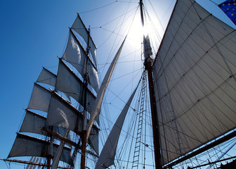 Sunny Sails