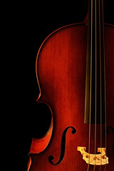 Cello, in close-up with black background.  Natural warm light.
