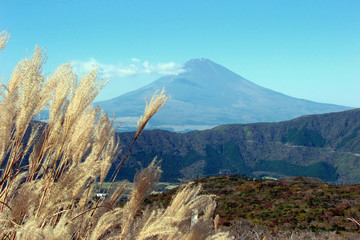 Fototapeta premium Mount Fuji, view from Hakone in autumn