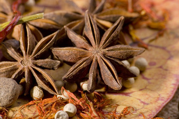 Close-ups of star anice and other spices