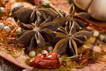 Close-ups of star anice and other spices