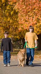 Boys Walking the Dog in the Fall
