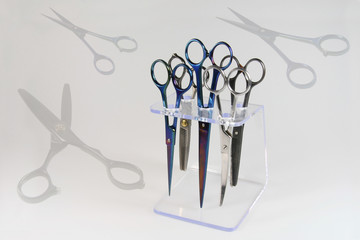 Scheren zur Hundepflege