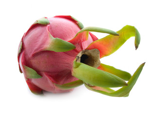 dragon fruit on white background