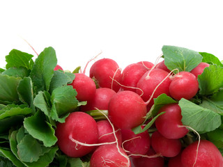 radish
