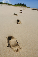 Fußspuren im Sand am Strand