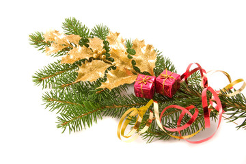 christmas decoration with golden holly