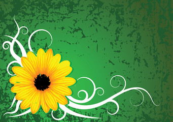 Fresh grunge flower background on green