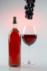 Vino y Botella 1