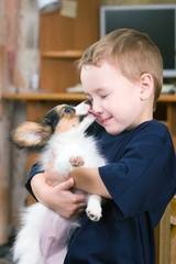 A little dog licking a young boy's nose