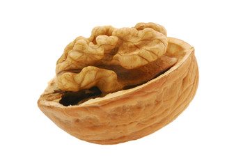 Walnut