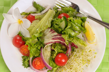 Plate of green salad with fork and plumeria flower garnish