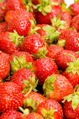 Lots of strawberries arranged as the background