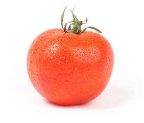 isolated tomato on a white background