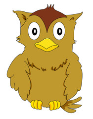 illustration of an owl bird