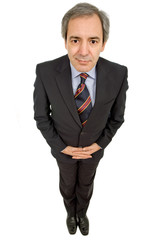 mature business man isolated on white background