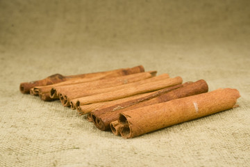 Cinnamon sticks on burlap