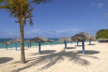 Sandy beach of tropical resort with umbrelas and palm tree