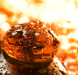 Abstract still life background