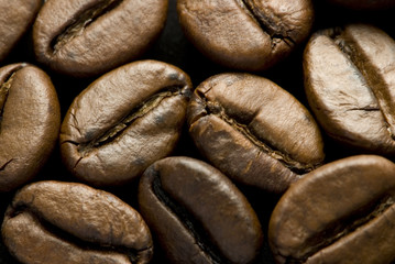 Coffee beans on black background
