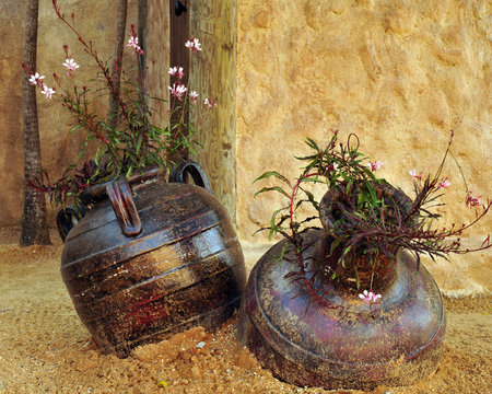 Two pots
