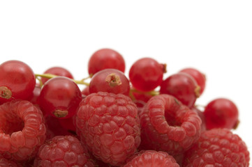 raspberries and red currant on white background