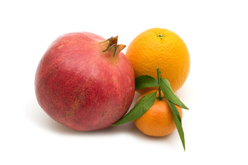 fresh fruits on white background