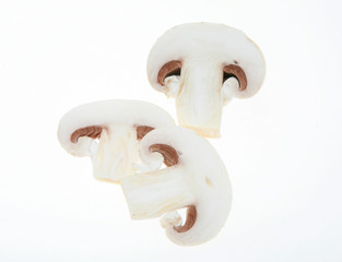 Fototapeta premium Champignon