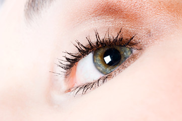 Obraz premium Human eye
