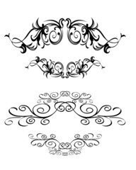 illustration of abstract floral text banner