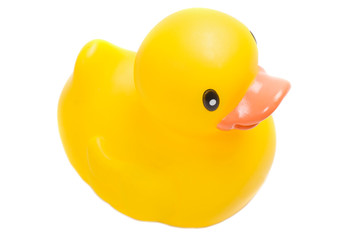Yellow plastic duck a over white background