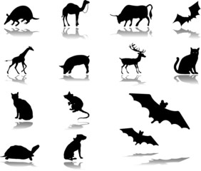 Set icons. Animals