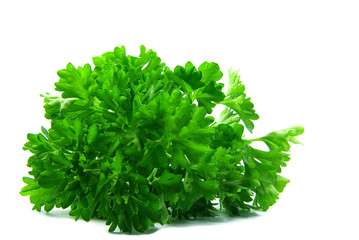 Close-up view on some fresh parsley isolated.