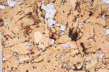 Close-up cork color textured background