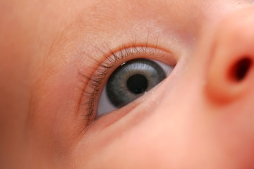 Closeup of a baby eye