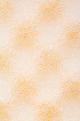 Macro shot of white sponge abstract background