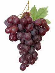 Weintrauben,Wassertropfen