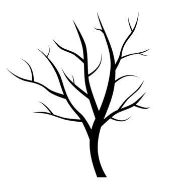 tree - vector