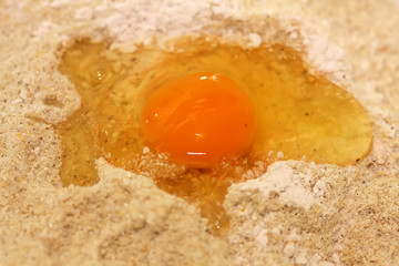 Egg