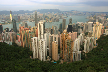 A Panoramic Skyline of Hong Kong City from the Peak. - 10374586