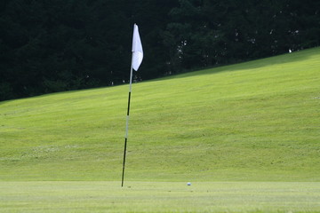 Obraz premium Golf