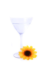 Martini pur