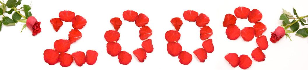 inscription 2009 made of rose petals isolated on white