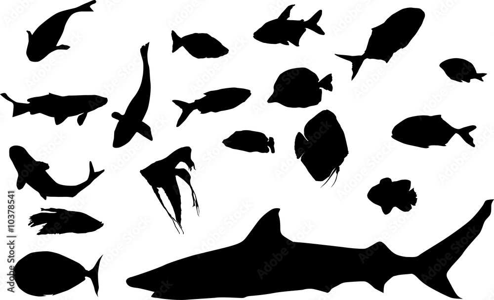 Wall mural different fish silhouettes