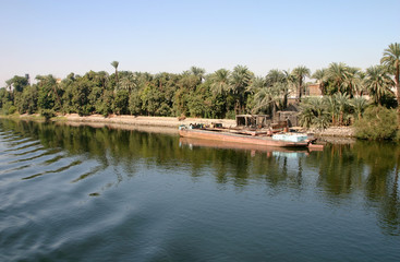 Fototapeta na wymiar bateau cargo sur les rives du Nil
